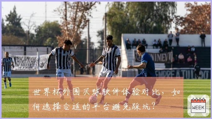 世界杯外围买球软件体验对比，如何选择合适的平台避免踩坑？